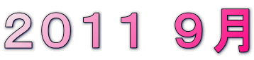 �Q�O�P�P �X��