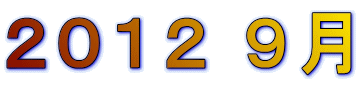 �Q�O�P�Q �X��